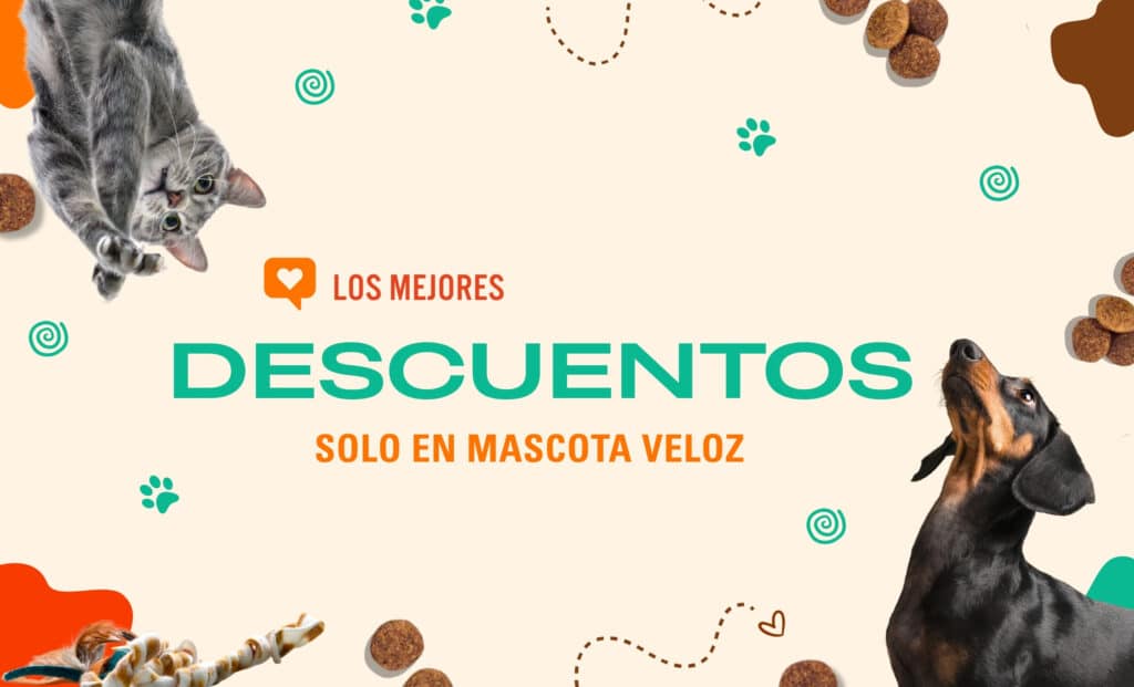 mascota
