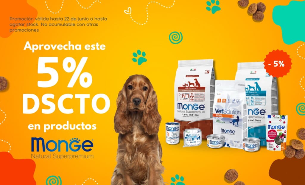mascota