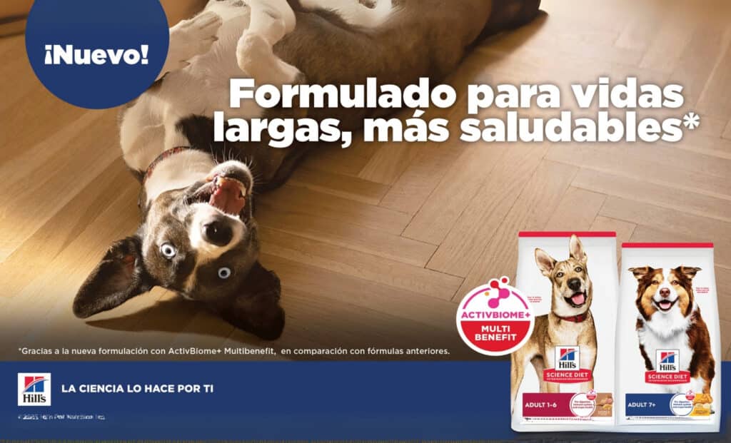 mascota