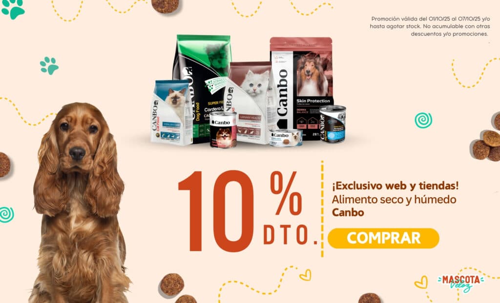 mascota