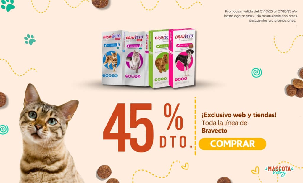 mascota