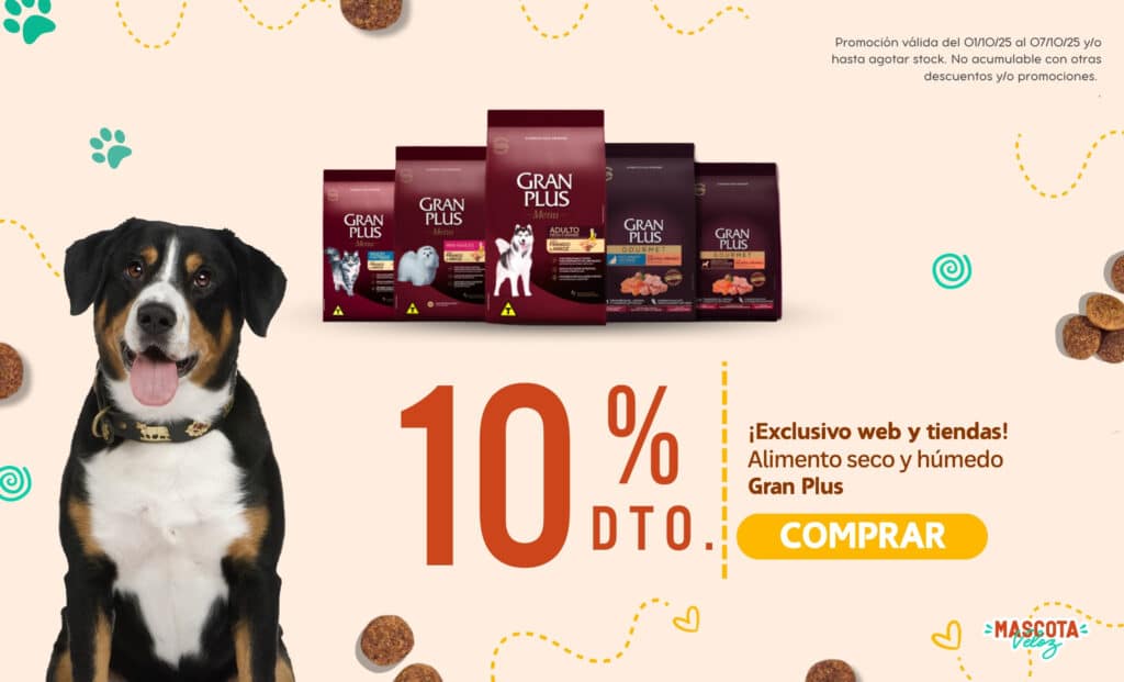 mascota