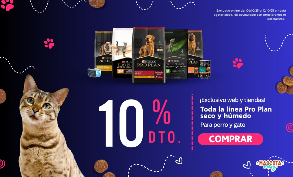 mascota