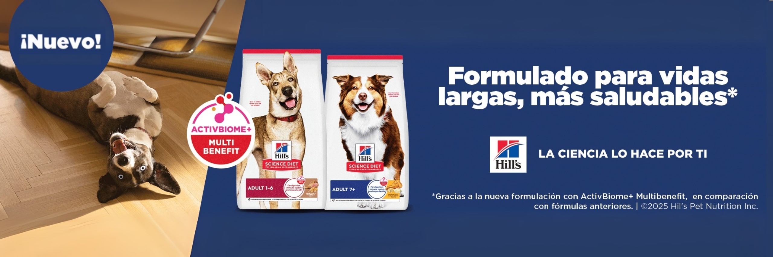 mascota