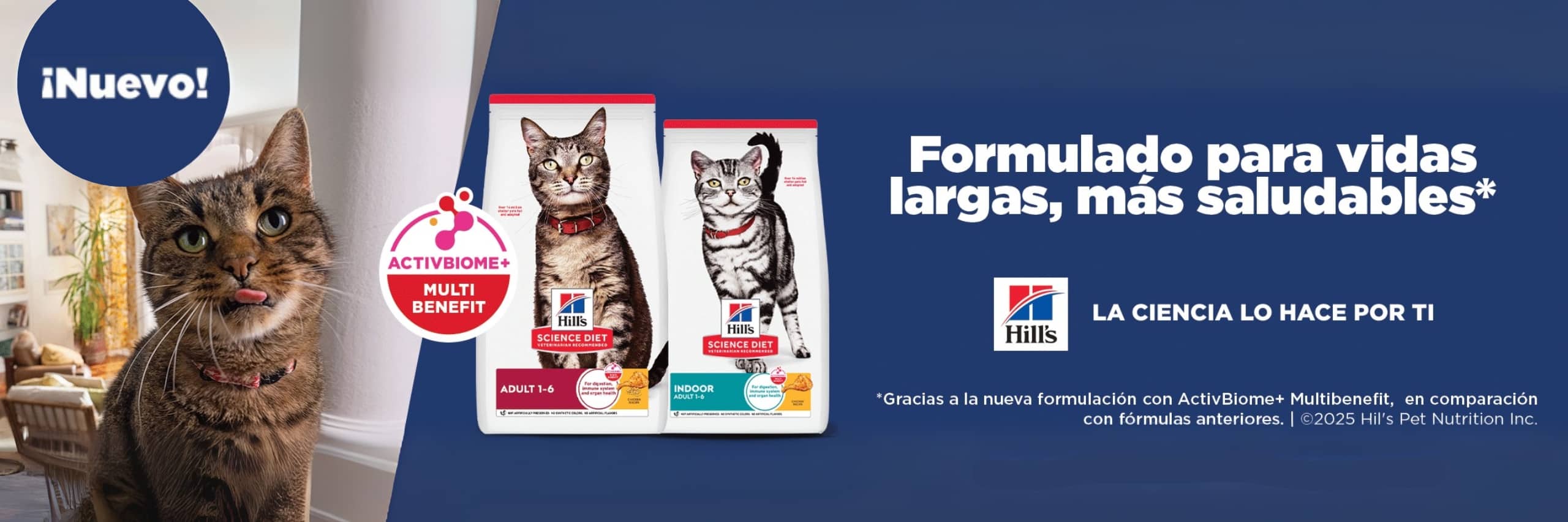 mascota