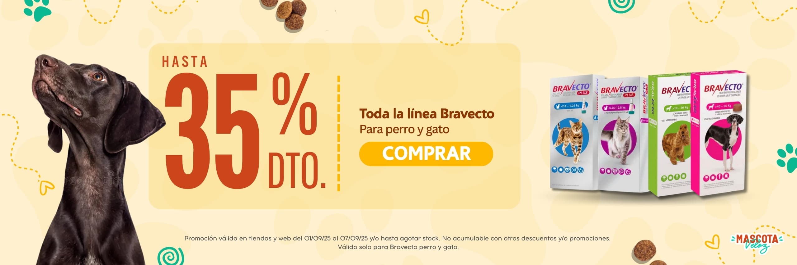 mascota