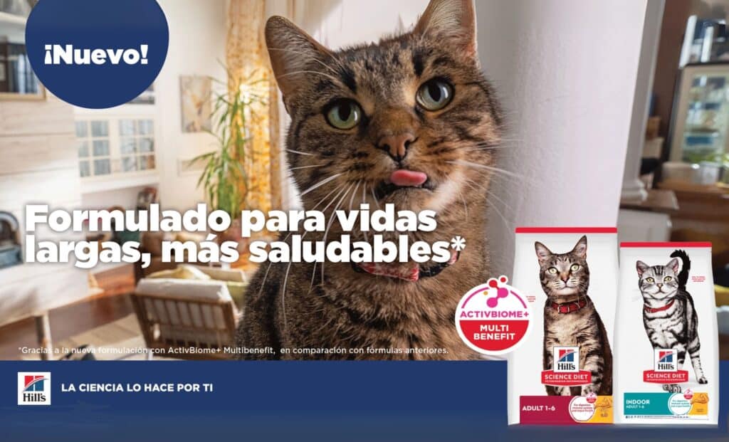 mascota