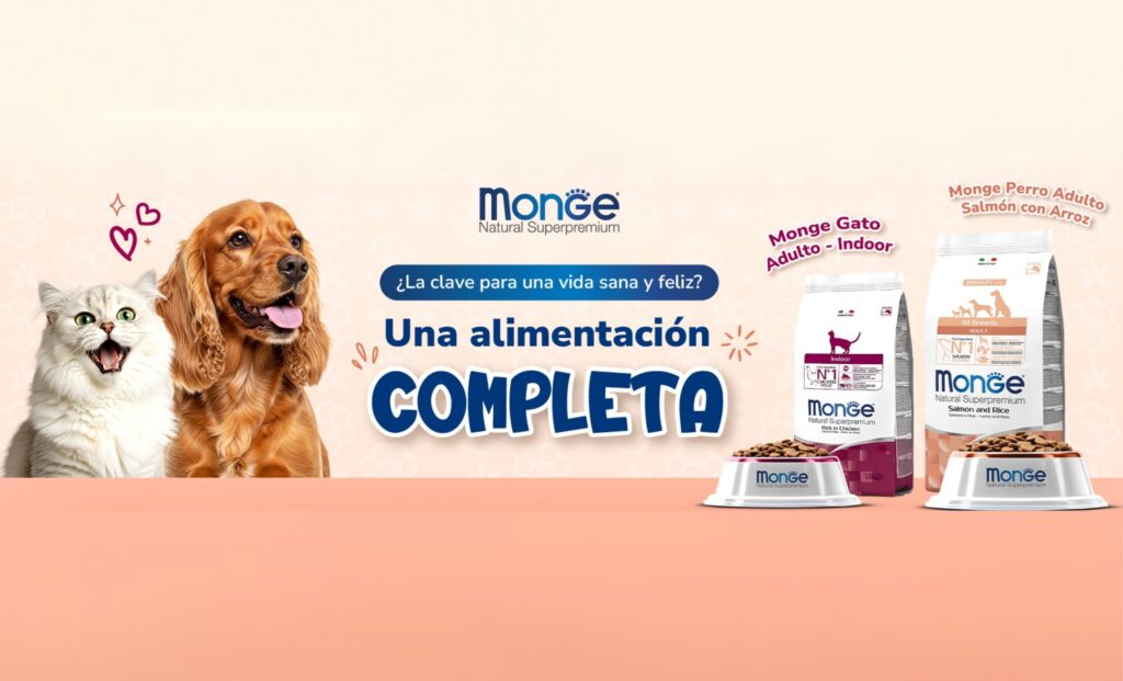 mascota