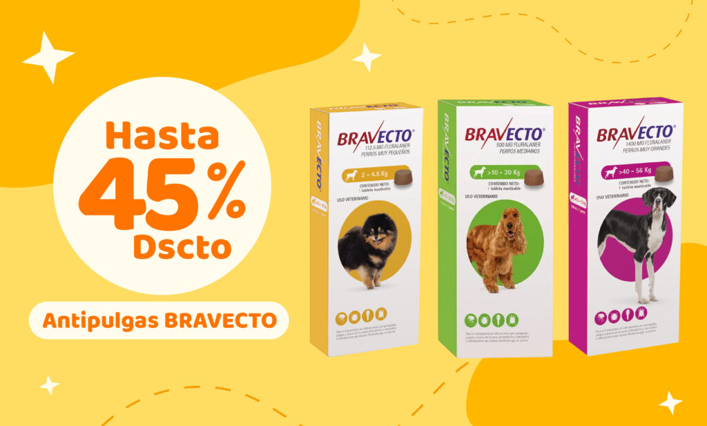 mascota