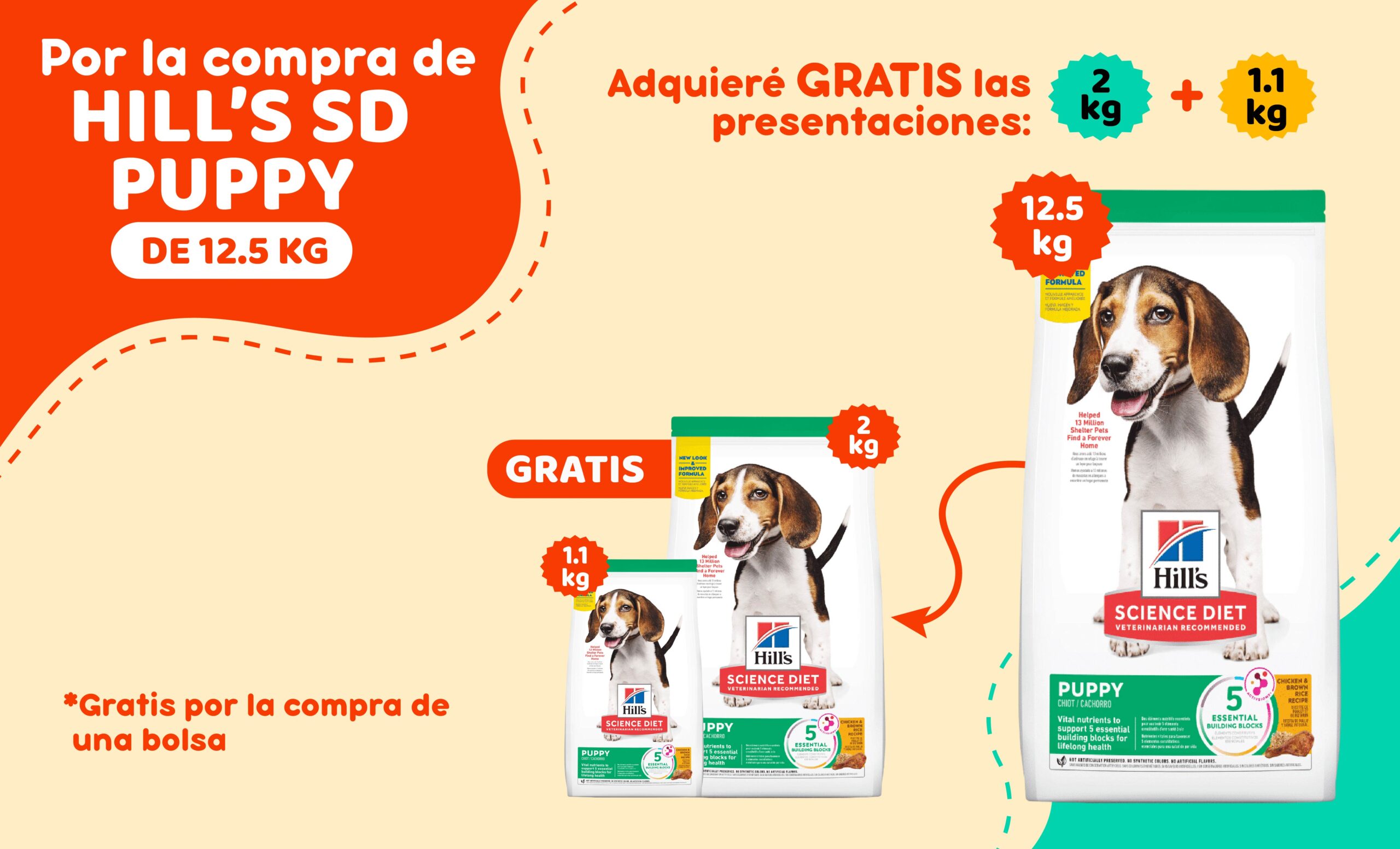 mascota