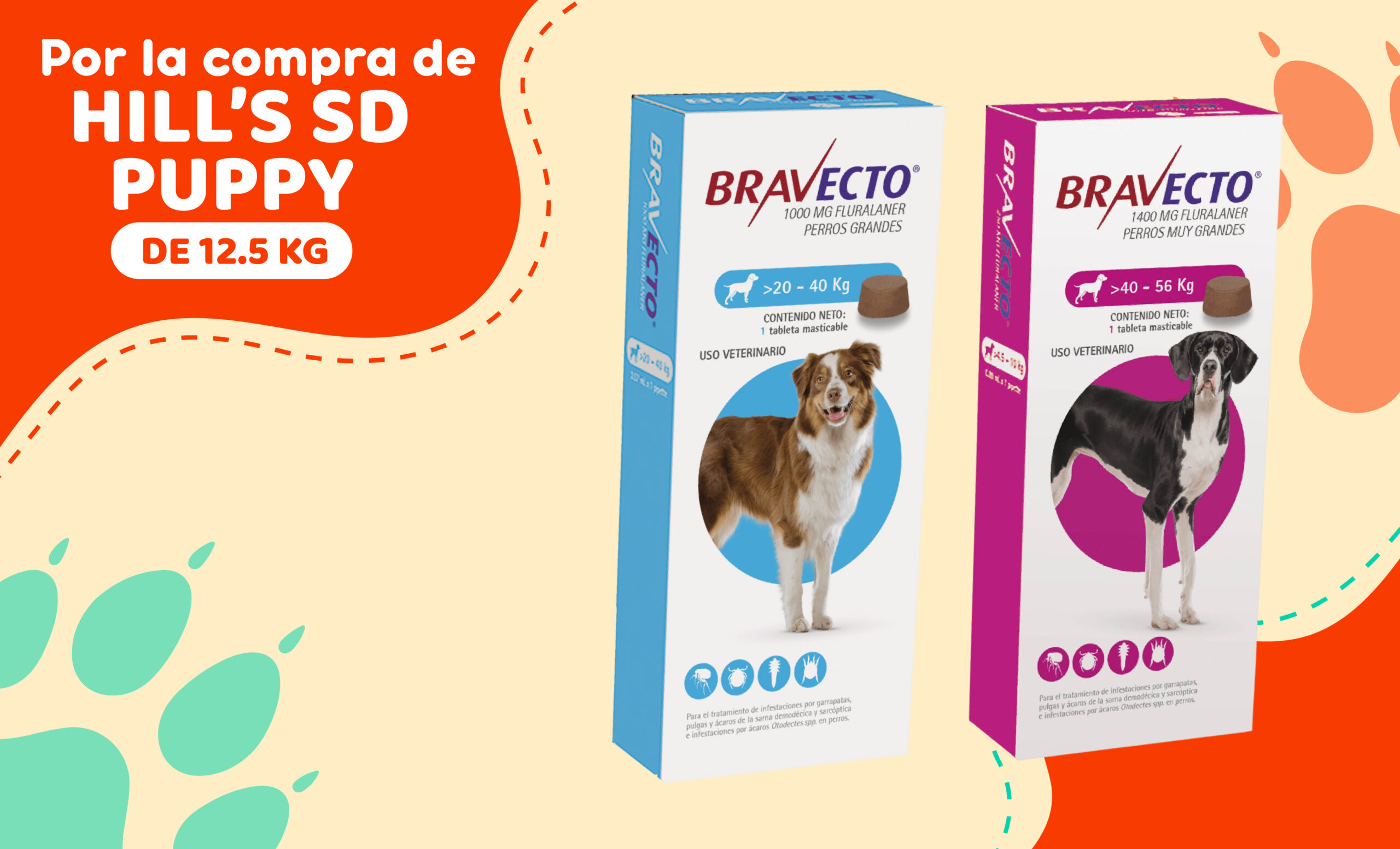 mascota