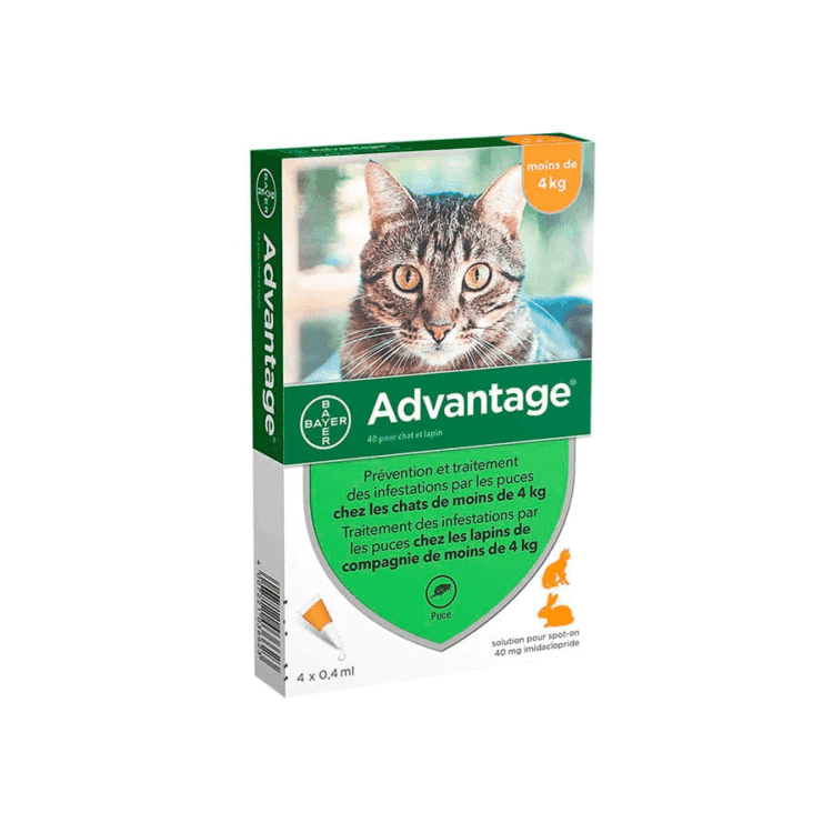Advantage Gato 1 X 0.4 Ml (0.4 Kg)