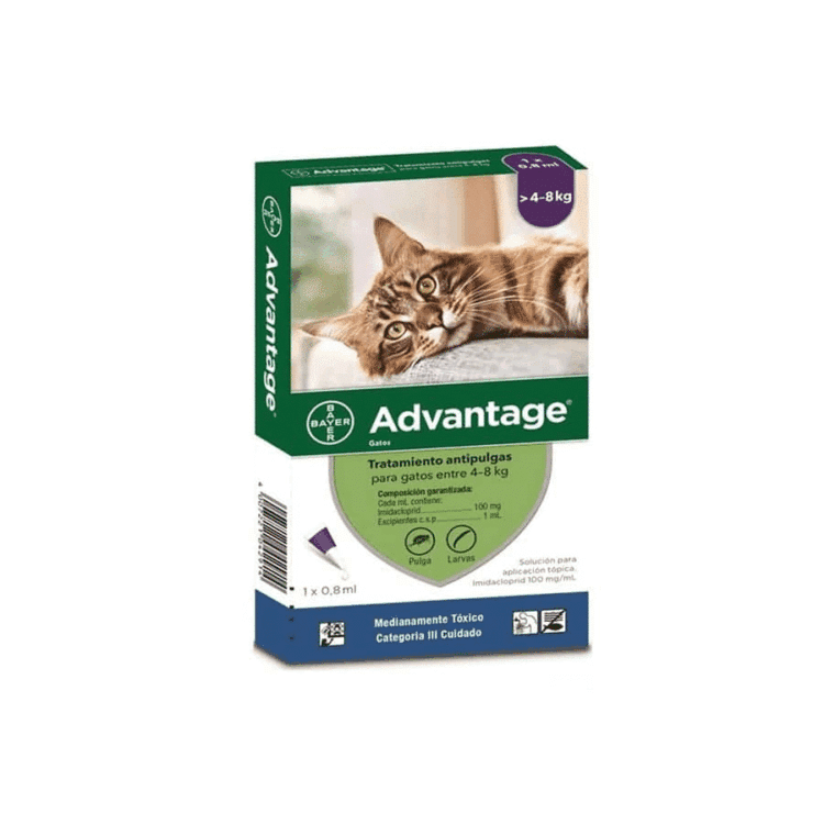 Advantage Gato 1 X 0.8 Ml (4-8 Kg)