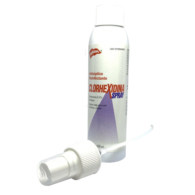 CLORHEXIDINA SPRAY 100ML