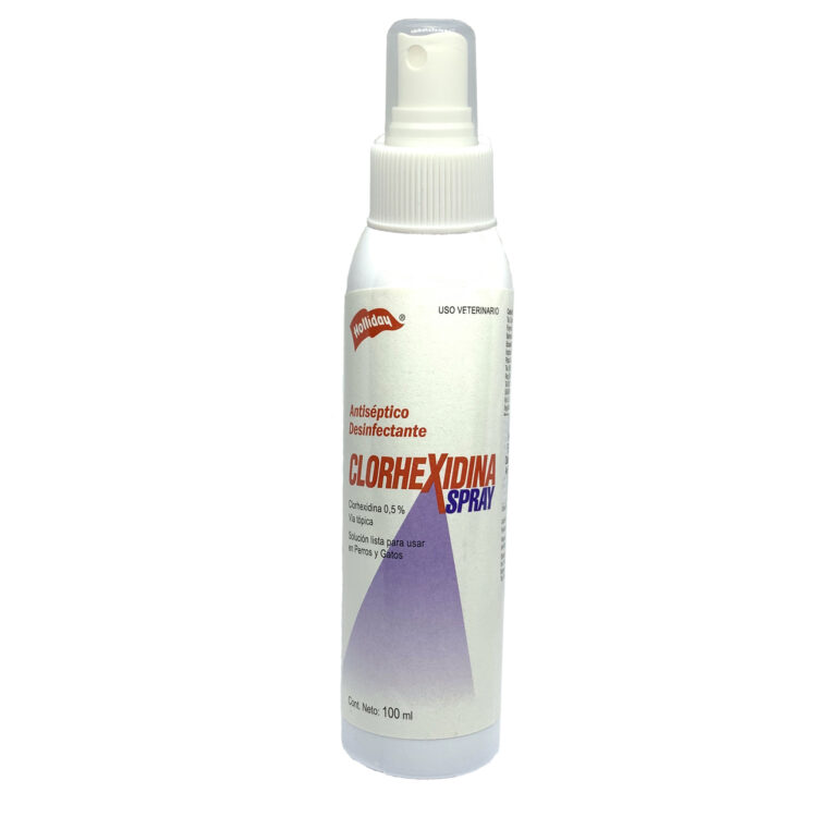 CLORHEXIDINA SPRAY 100ML