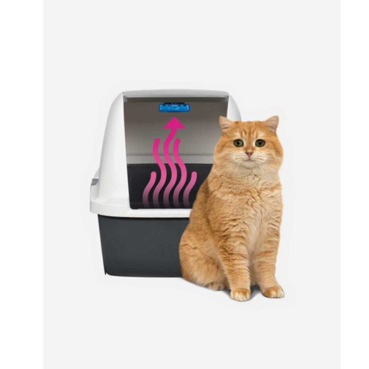 Cat It Cartucho Purificador De Aire Magic Blue (2 Unidades) - Imagen 2