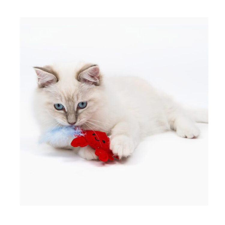 Juguete Play Pirates Cangrejo Con Catnip Y Plumas Cat It - Imagen 3