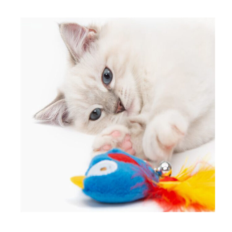 Juguete Play Pirates Loro Con Catnip Y Plumas Cat It - Imagen 2