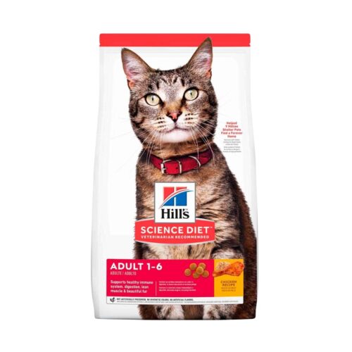 Hills SD Adult, Gatos Adultos
