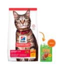 Hills SD Adult, Gatos Adultos