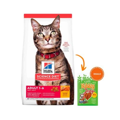Hills SD Adult, Gatos Adultos