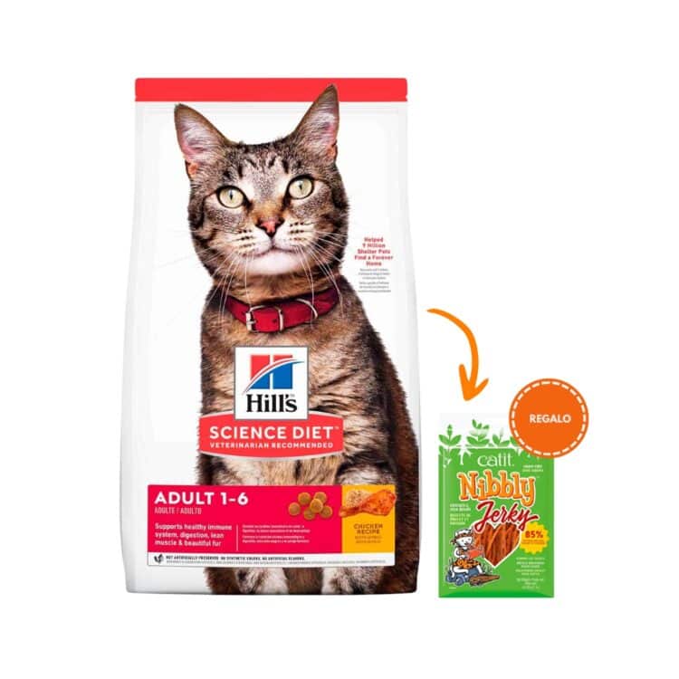 Hills SD Adult, Gatos Adultos