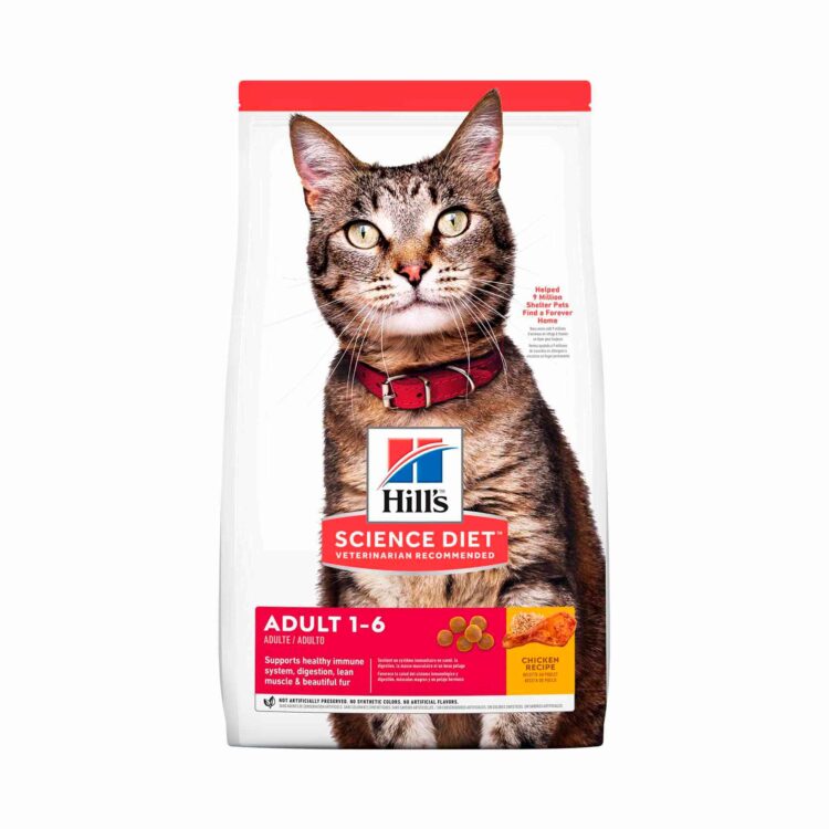 Hills SD Adult, Gatos Adultos