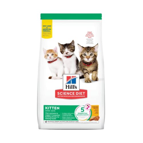 Hills SD Kitten Gatitos