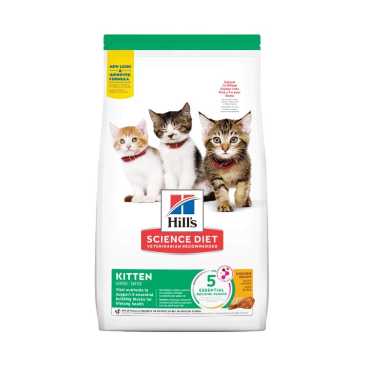 Hills SD Kitten Gatitos