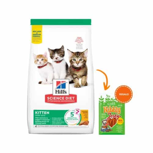 Hills SD Kitten Gatitos
