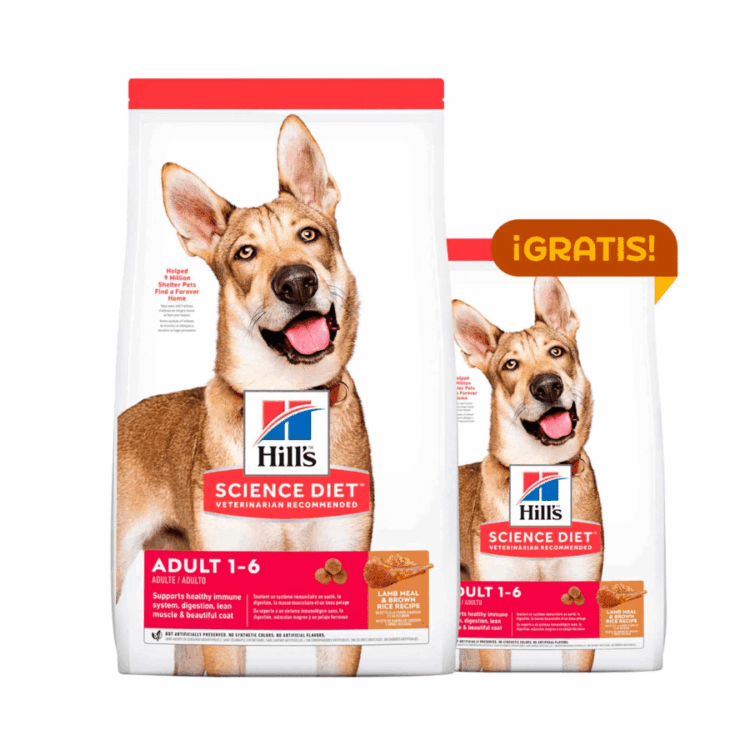 Hills Science Diet Canine Adult Lamb And Rice 15KG + 7KG