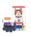 Hills SD Adult 7+ Gatos Adultos Mayores