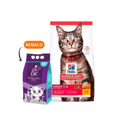 Hills SD Adult, Gatos Adultos