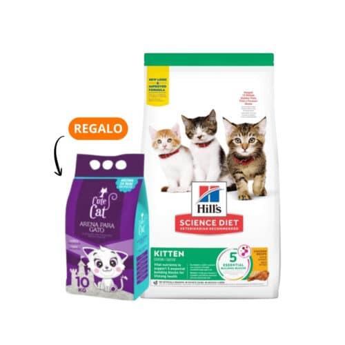 Hills SD Kitten Gatitos