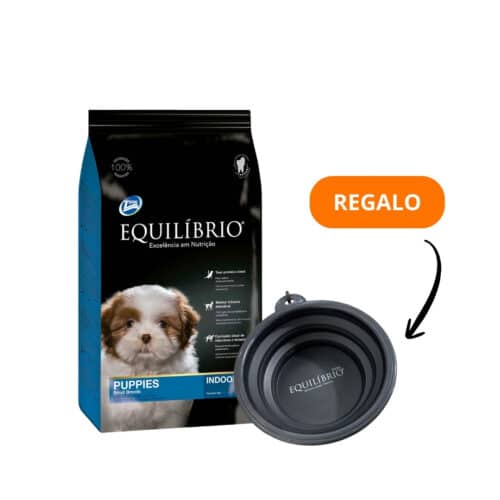 Equilibrio Puppies Small Breeds
