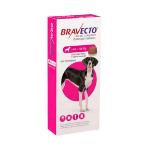 Bravecto 1400mg. (40Kg – 56Kg)