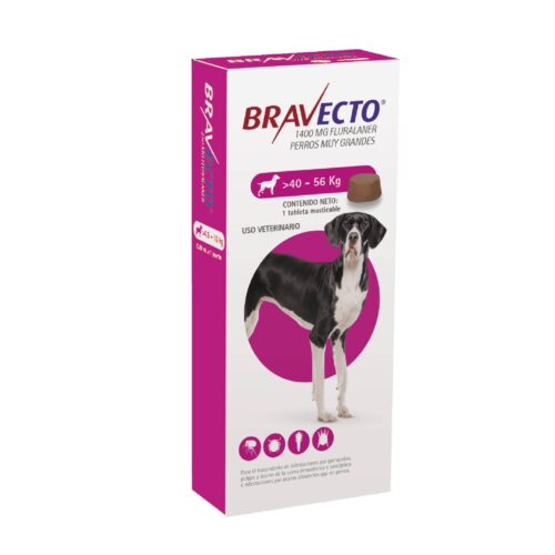 Bravecto 1400mg. (40Kg – 56Kg)