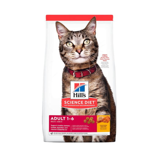 Hills SD Adult, Gatos Adultos