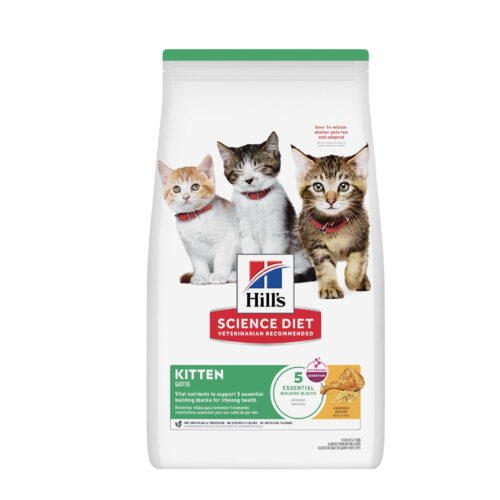 Hills SD Kitten Gatitos