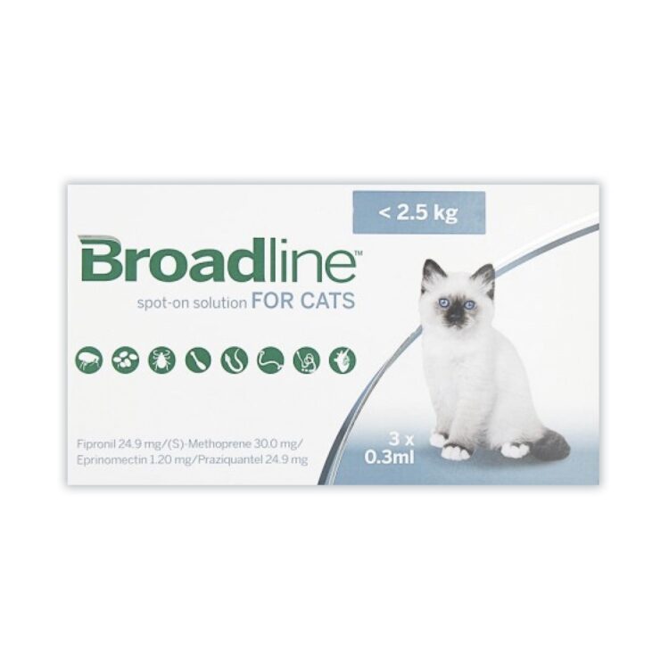 BROADLINE CAT SMALL