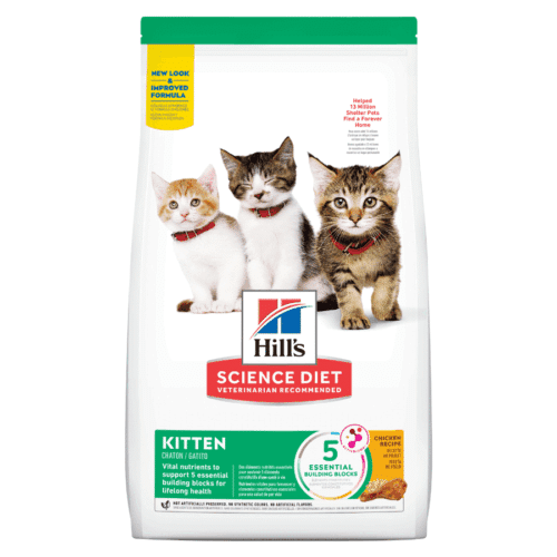 Hills SD Kitten Gatitos