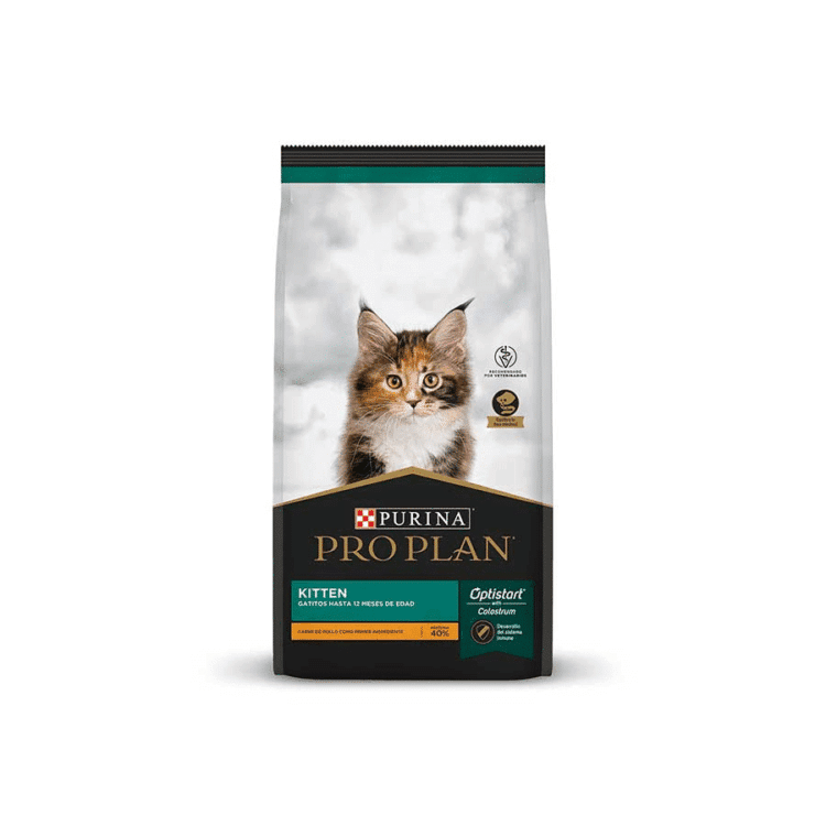 Pro Plan Kitten