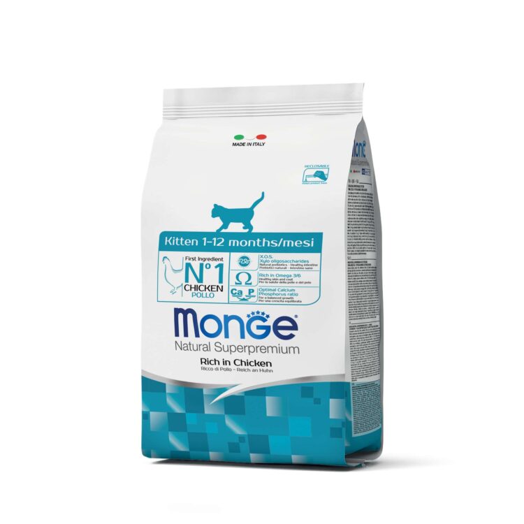 Monge Feline Kitten