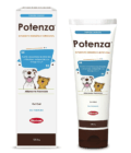 Potenza Gel Oral X 120.5 Gr