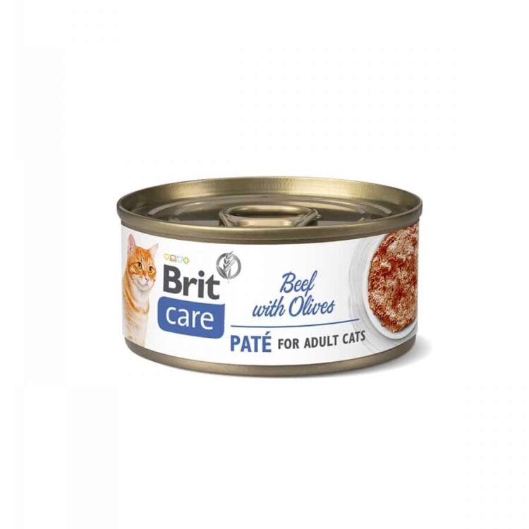 BRIT CARE