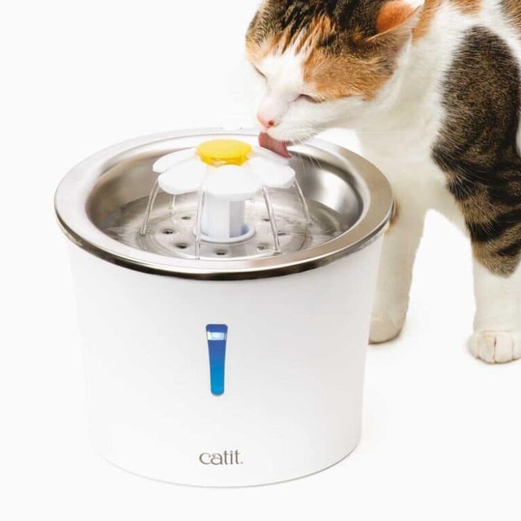 Cat It Fuente De Agua (Acero Inoxidable)
