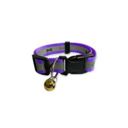 COLLAR PARA PERRO Y GATO MORADO NEON