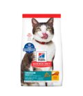 Hills SD Adult Mature 11+ Indoor 1.6 Kg