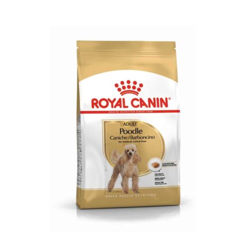 Royal Canin Adulto Poodle Bhn