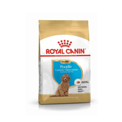 Royal Canin Cachorro Poodle Bhn